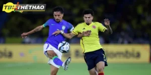 Người chơi xem trực tiếp Brazil bóng đá ở đâu?